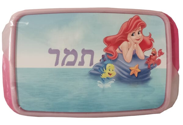 ⁦ערכה לגן⁩ – תמונה ⁦4⁩